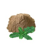 AyurNutri Kilanelli Churnam (Keezhanelli Powder), 100g